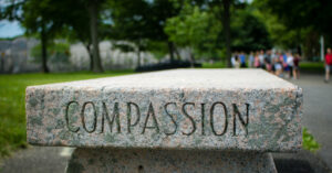 a park bench with the word "compassion" engraved into it