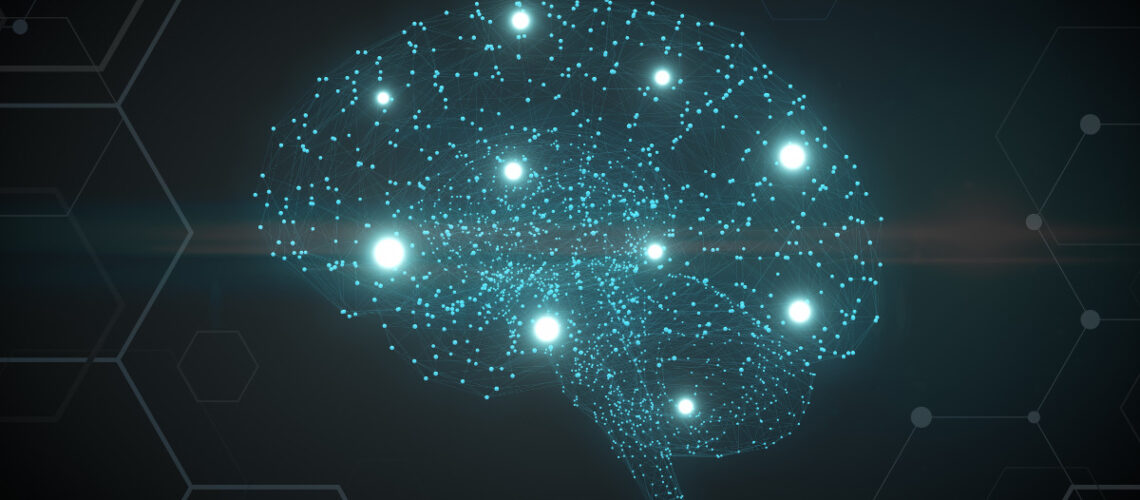 Digital image of a human brain.